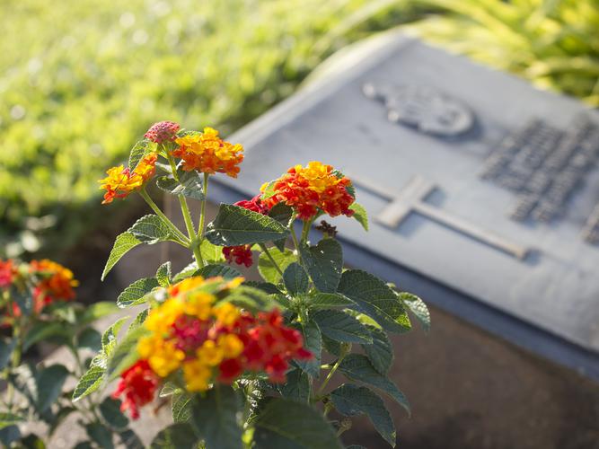 The resource is funded by the Department of Health and consists of 12 modules detailing topics on the concept of death, funeral wishes and inheritance [Source: Shutterstock]