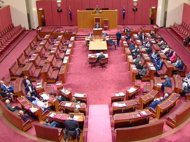 Major political parties banded together in voting to prevent changes being made that would have allowed Senator Jordon Steele-John to chair a disability related committee. [Source: Twitter]