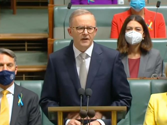 Federal Opposition leader Anthony Albanese's Budget reply promises reforms to the NDIS but People with Disability Australia says it needs more detail. [Source: Australian Labor Party]