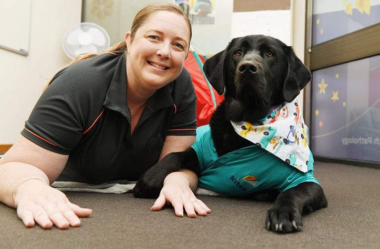 Dog-assisted therapy uses highly trained labradors, like Grady, to help children achieve their therapy goals. [Source: Kites Children's Therapy]